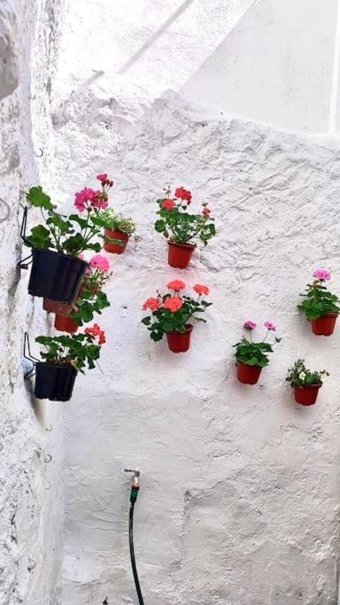 La Casa De Los Tiles Vélez Blanco Eksteriør billede