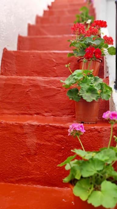 La Casa De Los Tiles Vélez Blanco Eksteriør billede