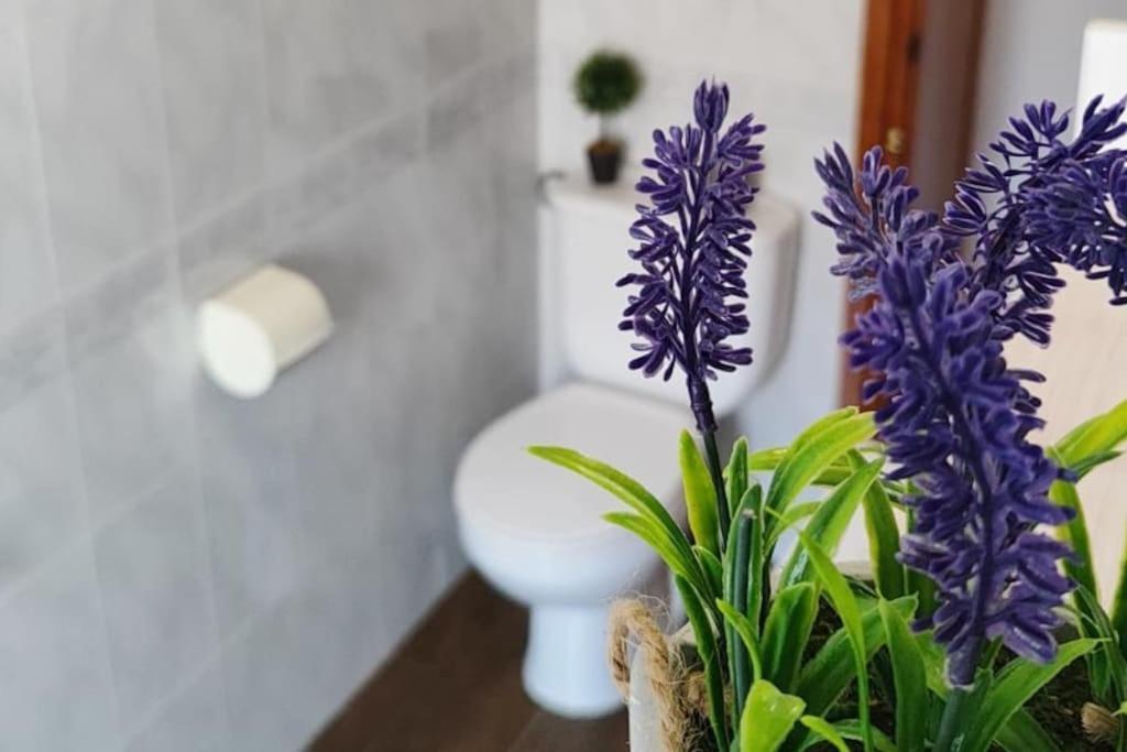 La Casa De Los Tiles Vélez Blanco Eksteriør billede